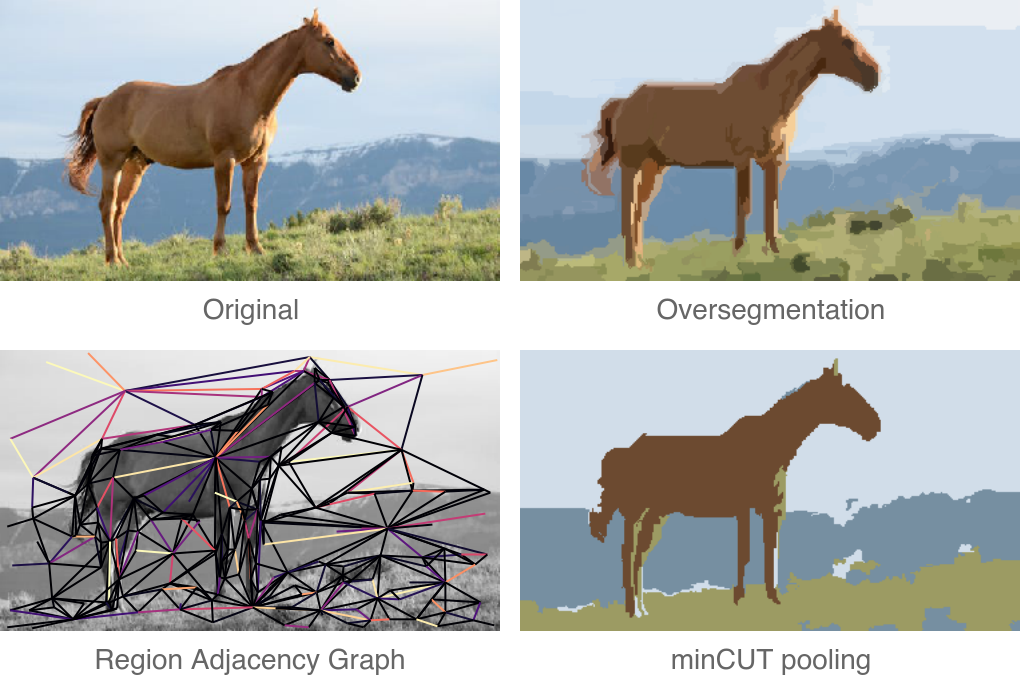 Horse segmentation with minCUT pooling